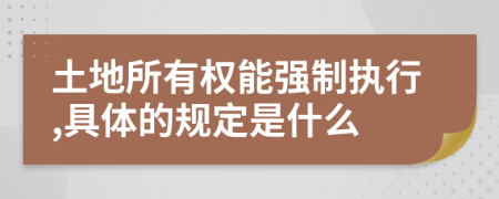 土地所有权能强制执行,具体的规定是什么