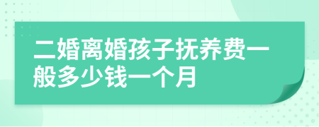 二婚离婚孩子抚养费一般多少钱一个月