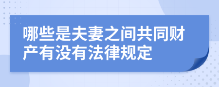 哪些是夫妻之间共同财产有没有法律规定