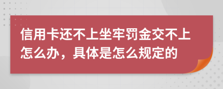 信用卡还不上坐牢罚金交不上怎么办，具体是怎么规定的
