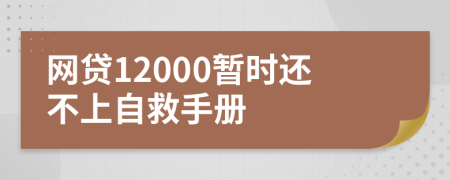 网贷12000暂时还不上自救手册