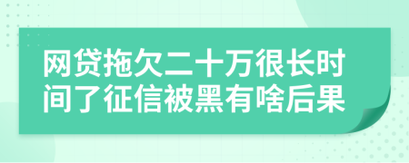 网贷拖欠二十万很长时间了征信被黑有啥后果
