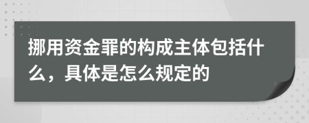 挪用资金罪的构成主体包括什么，具体是怎么规定的