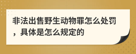 非法出售野生动物罪怎么处罚，具体是怎么规定的