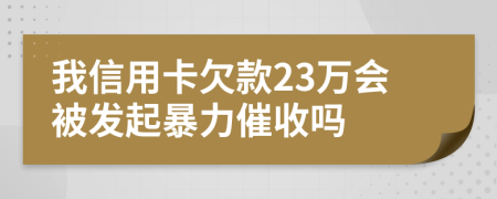 我信用卡欠款23万会被发起暴力催收吗