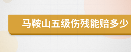 马鞍山五级伤残能赔多少