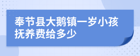 奉节县大鹅镇一岁小孩抚养费给多少