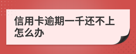 信用卡逾期一千还不上怎么办