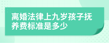 离婚法律上九岁孩子抚养费标准是多少