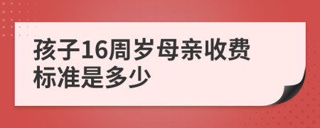 孩子16周岁母亲收费标准是多少