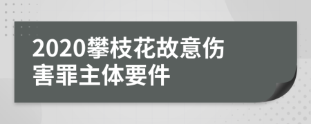 2020攀枝花故意伤害罪主体要件