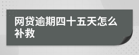 网贷逾期四十五天怎么补救