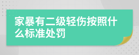 家暴有二级轻伤按照什么标准处罚