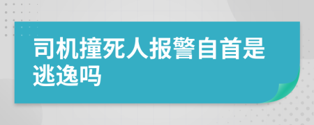 司机撞死人报警自首是逃逸吗