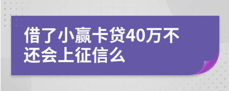 借了小赢卡贷40万不还会上征信么