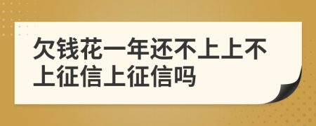 欠钱花一年还不上上不上征信上征信吗