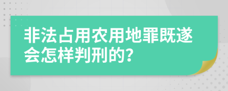 非法占用农用地罪既遂会怎样判刑的？