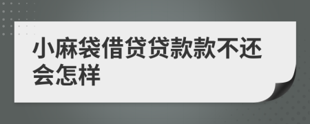 小麻袋借贷贷款款不还会怎样