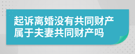 起诉离婚没有共同财产属于夫妻共同财产吗