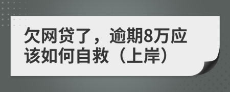 欠网贷了，逾期8万应该如何自救（上岸）