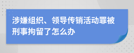 涉嫌组织、领导传销活动罪被刑事拘留了怎么办
