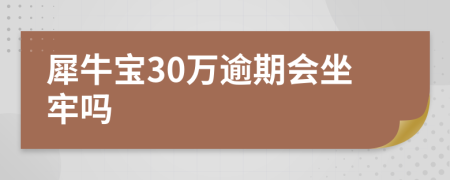 犀牛宝30万逾期会坐牢吗