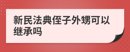 新民法典侄子外甥可以继承吗