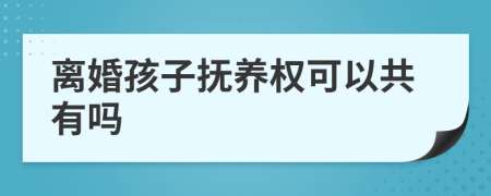 离婚孩子抚养权可以共有吗