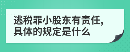 逃税罪小股东有责任,具体的规定是什么