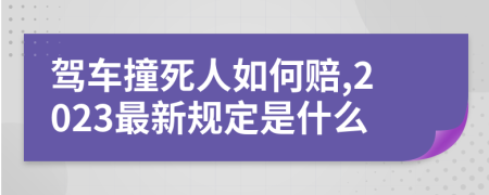 驾车撞死人如何赔,2023最新规定是什么