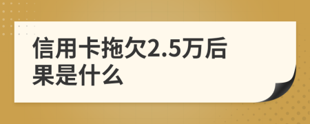 信用卡拖欠2.5万后果是什么