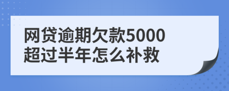 网贷逾期欠款5000超过半年怎么补救