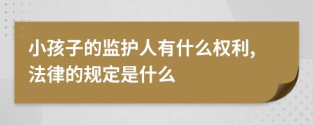 小孩子的监护人有什么权利,法律的规定是什么