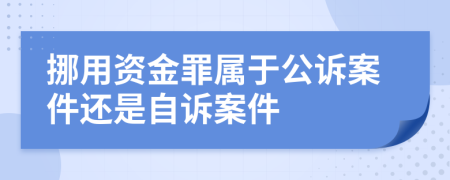 挪用资金罪属于公诉案件还是自诉案件