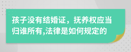 孩子没有结婚证，抚养权应当归谁所有,法律是如何规定的