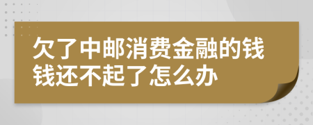 欠了中邮消费金融的钱钱还不起了怎么办