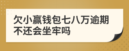 欠小赢钱包七八万逾期不还会坐牢吗