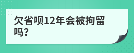 欠省呗12年会被拘留吗？