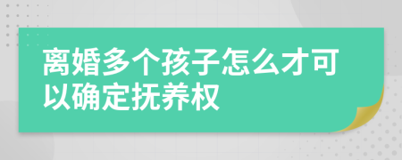 离婚多个孩子怎么才可以确定抚养权