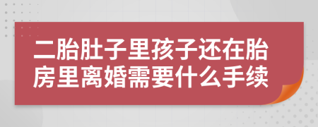 二胎肚子里孩子还在胎房里离婚需要什么手续