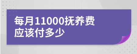 每月11000抚养费应该付多少