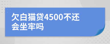 欠白猫贷4500不还会坐牢吗