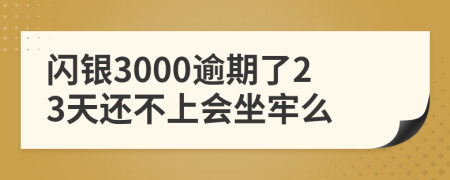 闪银3000逾期了23天还不上会坐牢么