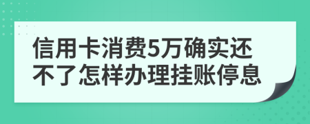 信用卡消费5万确实还不了怎样办理挂账停息
