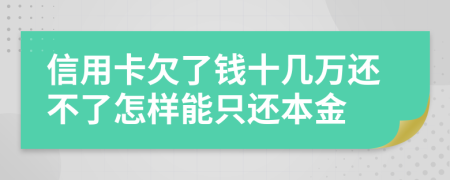 信用卡欠了钱十几万还不了怎样能只还本金