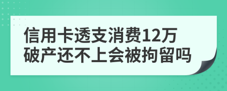 信用卡透支消费12万破产还不上会被拘留吗