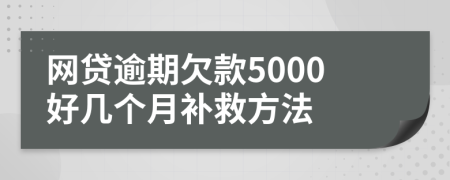 网贷逾期欠款5000好几个月补救方法