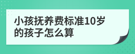 小孩抚养费标准10岁的孩子怎么算