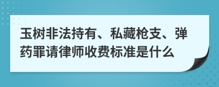 玉树非法持有、私藏枪支、弹药罪请律师收费标准是什么