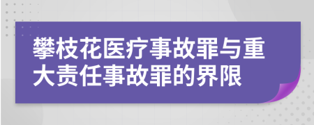 攀枝花医疗事故罪与重大责任事故罪的界限